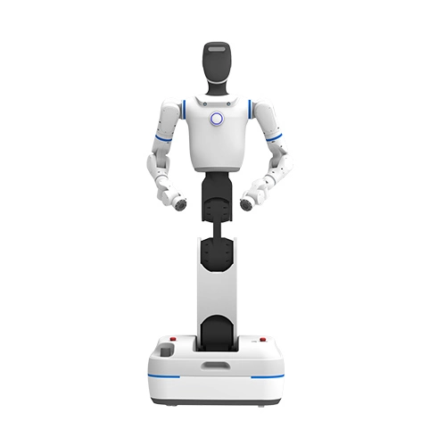 Embodied Intelligent Robot